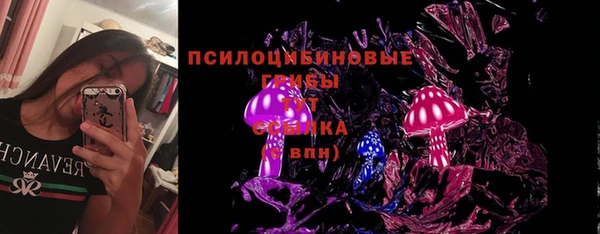 гидра Алзамай