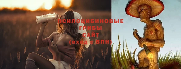 гидра Алзамай