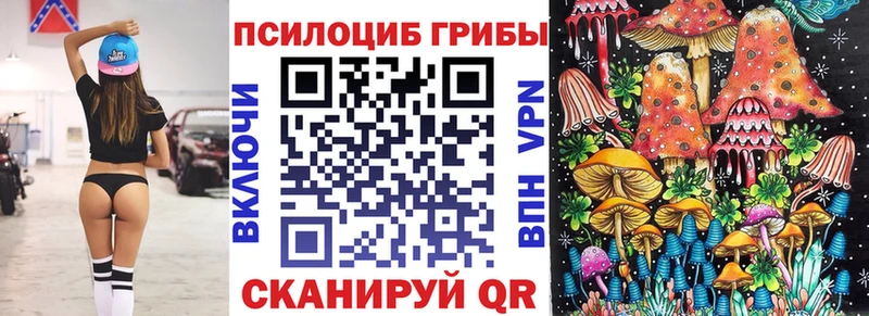 Купить где  Тверь  Галлюциногенные грибы Psilocybine cubensis 